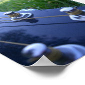 Poster Musique dans la nature (Coin)