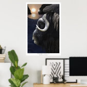 Poster MUSK OX & ARCTIC SUN Art Print (Bureau à domicile)