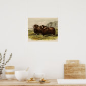 Poster Muskoxen vintage (Cuisine)