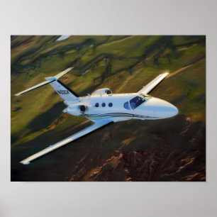 Poster Mustang de prairie