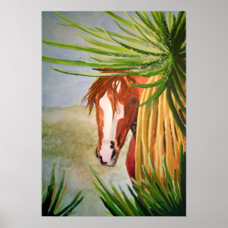 Poster Mustang du désert dans les Yuccas