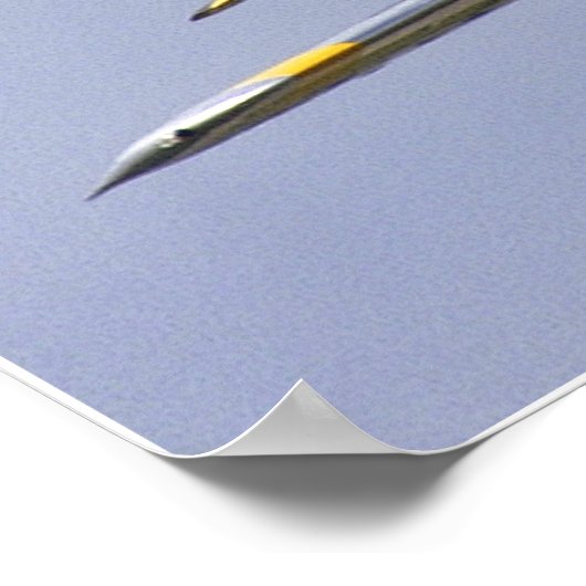 Poster Mustang et Thunderbolt (Coin)