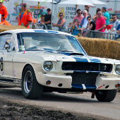 Poster Mustang GT