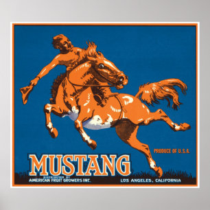 Poster Mustang Horse Cowboy Los Angeles Californie USA