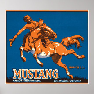 Poster Mustang Horse Cowboy Los Angeles Californie USA