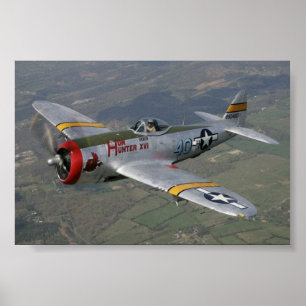 Poster mustang p-51