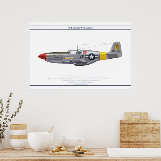 Poster Mustang USA 5FS 1 (Cuisine)