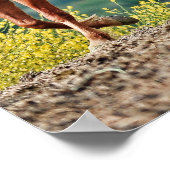 Poster Mustangs sauvages (Coin)