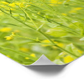Poster Mustard de campagne 2 (Coin)