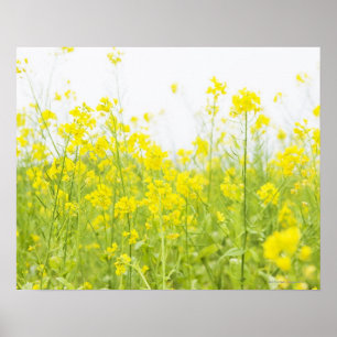 Poster Mustard de campagne 2