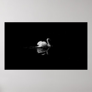 POSTER MUTE SWAN EN PHOTOGRAPHIE À FAIBLE LUMIÈRE