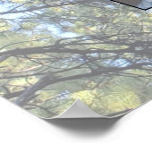 Poster Muted Pine Tree Forest Photo with Two Family Trees (Coin)