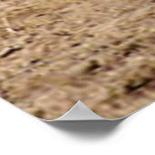 Poster Mutton Buster Essaie Son Méteau (Coin)