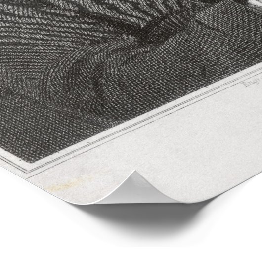 Poster Muzio Clementi (Coin)