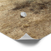 Poster MV-22B Ospreys survolent les hôpitaux de la marine (Coin)