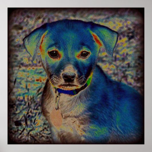 Poster MVB Labrador - Conception psychédélique (Devant)