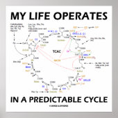 Poster My Life Operates In A Predictable Cycle (cancer) (Devant)
