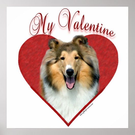 Poster My Rough Collie Valentine (Devant)