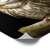 Poster My Srit Animal Funny Meowl, Cursed Cat Owl Brainro (Coin)