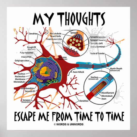 Poster My Thoughts Escape Me Time To Time Neuron Synapse (Devant)