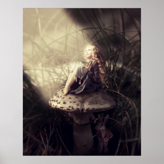 Poster My Wonderland (Devant)