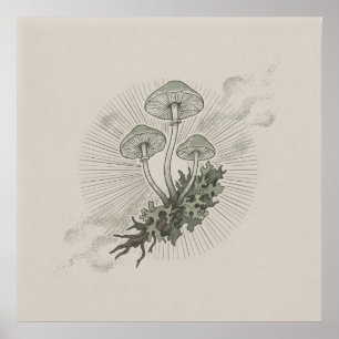 Poster Mycélium de champignon et de forêt