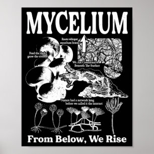 Poster Mycologie des champignons réseau mycélien vintage