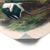 Poster Mycteria australienne par Joseph Wolf (Coin)