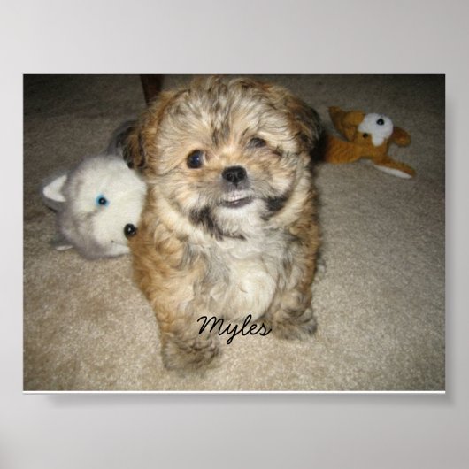 Poster Myles (Devant)