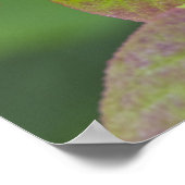 Poster Myrtille mûre dans le Flathead National (Coin)