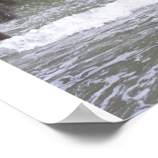 Poster Myrtle Beach 2009 075 (Coin)