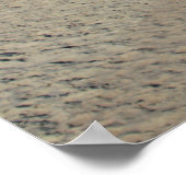 Poster Myrtle Beach State Park, Caroline du Sud (Coin)