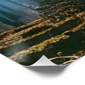 Poster Mystères de la forêt profonde (Coin)