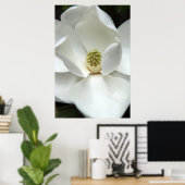 Poster Mystérieusement Magnolia (Bureau à domicile)