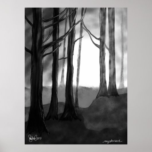 Poster Mystérieux (Devant)