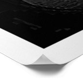 Poster Mysterious Foggy Forest Path (Coin)