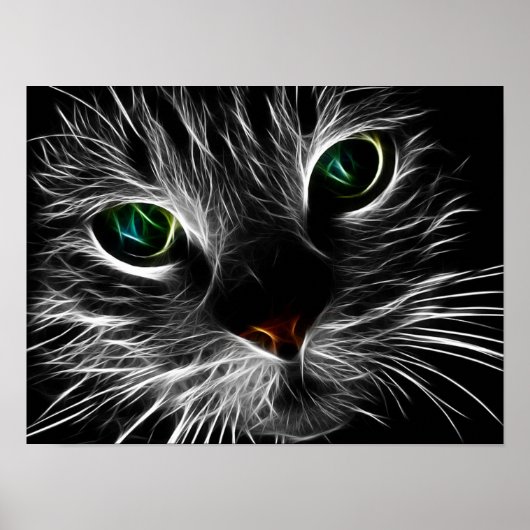 Poster Mystic Cat (Devant)