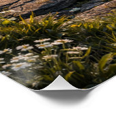 Poster Mystic Mountain Valley – Fantasy Nature Landscape (Coin)