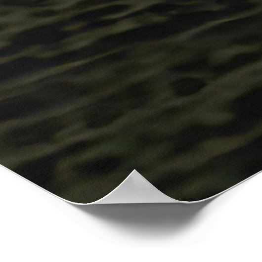 Poster Mystic Sunset Double Vision (Coin)