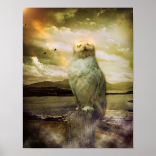 Poster Mystical Owl