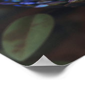 Poster Mystique Arc-en-ciel foncé Iridescente Viper potea (Coin)