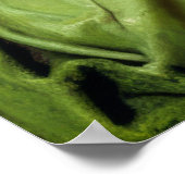 Poster Mystique dans la grâce #099 : Le leurre de l'encha (Coin)