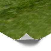 POSTER N13958 ERJ-145LR (Coin)