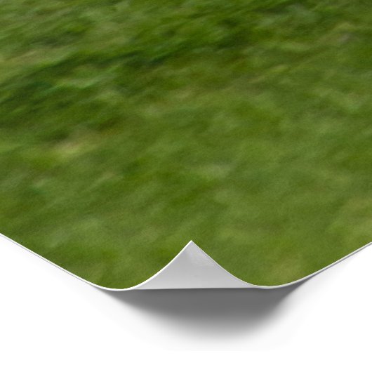 POSTER N13958 ERJ-145LR (Coin)