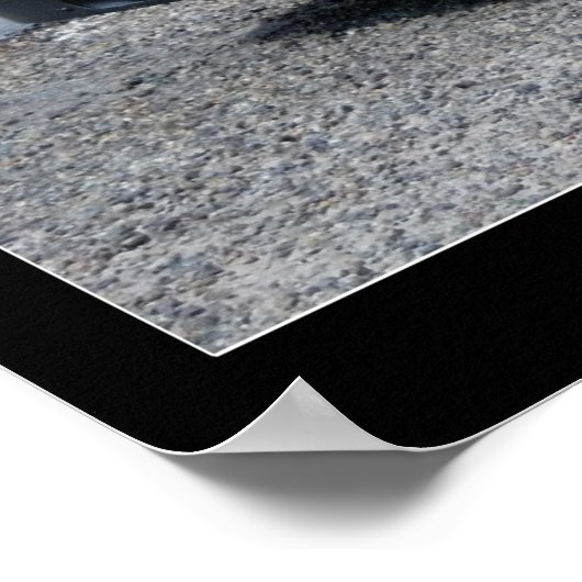 POSTER N° 144 (Coin)