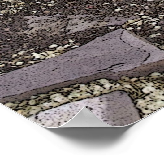 Poster n° 343 (Coin)