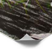 Poster n° 65 (Coin)