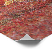 Poster N.A., États-Unis, Alaska, Denali National Park, Bu (Coin)