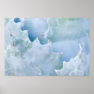 Poster N.A., États-Unis, Arizona, Tucson, Sonora Desert