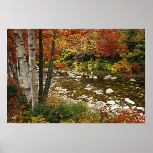 Poster N.A., États-Unis, New Hampshire, White Mountains,